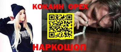 прущие грибы Кандалакша