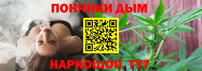 прущие грибы Кандалакша