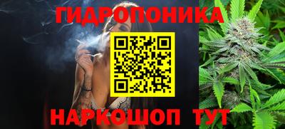 стаф Канаш