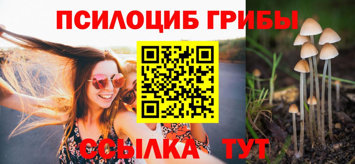 Куйбышев  Псилоцибиновые грибы MAGIC MUSHROOMS  Псилоцибиновые грибы Magic Shrooms  Вход с VPN 