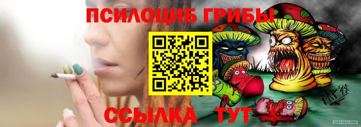Псилоцибиновые грибы Cubensis Куйбышев